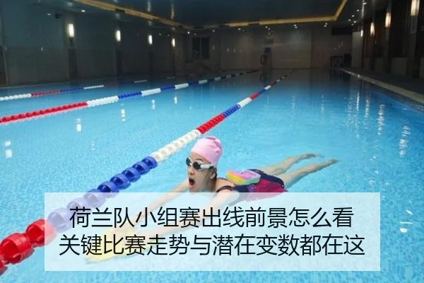 荷兰队小组赛出线前景怎么看 关键比赛走势与潜在变数都在这